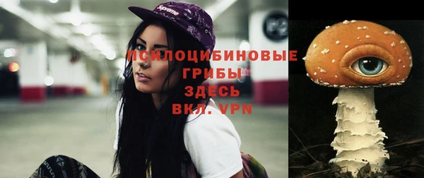 твердый Богородицк