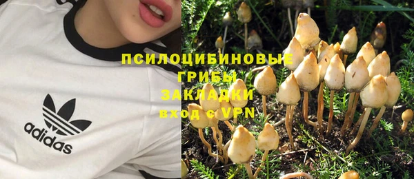шишки Богородск