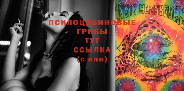 ешки Балахна