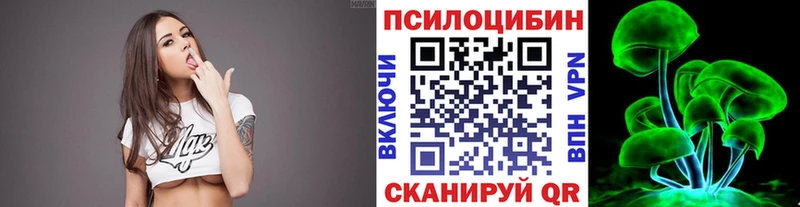 ссылка на мегу Невель Псилоцибиновые грибы Psilocybe