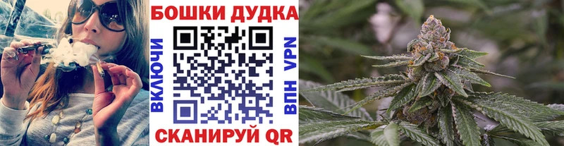 Бошки Шишки Amnesia  Невель 